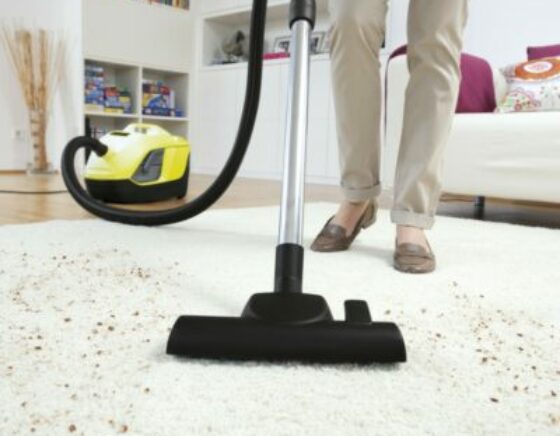 Aspiradora DS6 para alfombras
