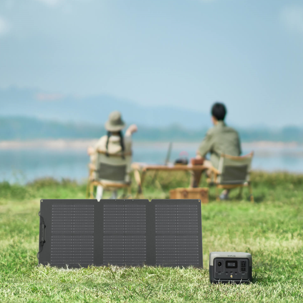 Panel Solar Plegable | EcoFlow | 60W - Imagen 6